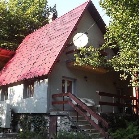 Casa De Oaspeti Boga Vasaskőfalva Kültér fotó
