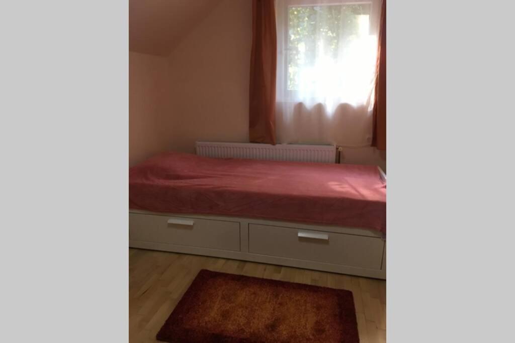 Casa De Oaspeti Boga Vasaskőfalva Kültér fotó