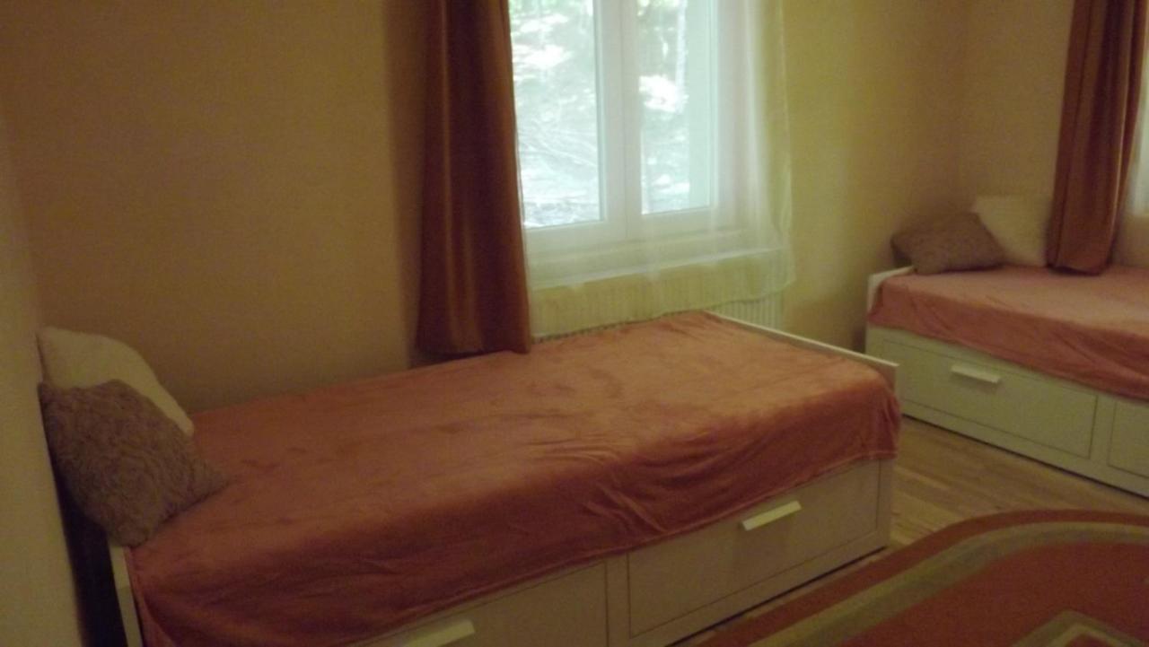 Casa De Oaspeti Boga Vasaskőfalva Kültér fotó