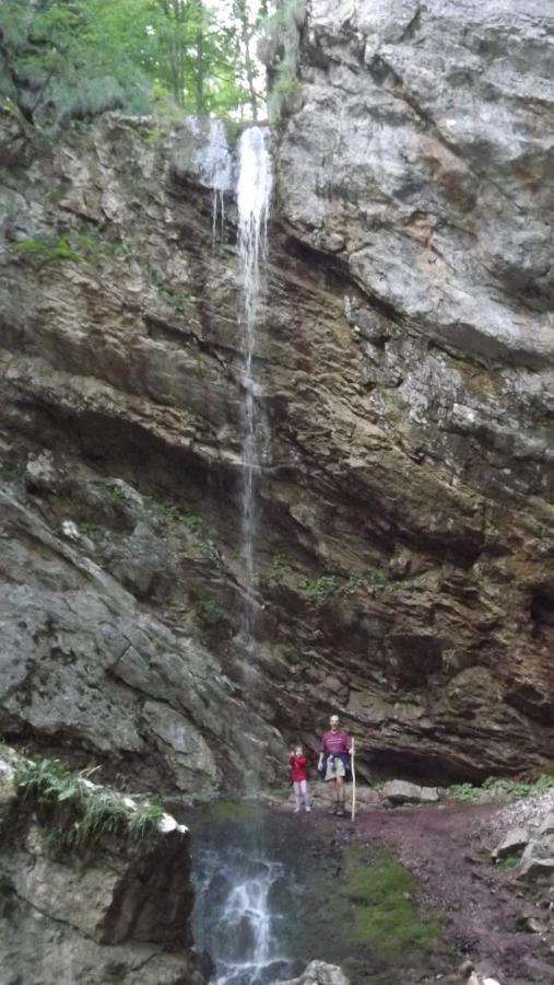 Casa De Oaspeti Boga Vasaskőfalva Kültér fotó