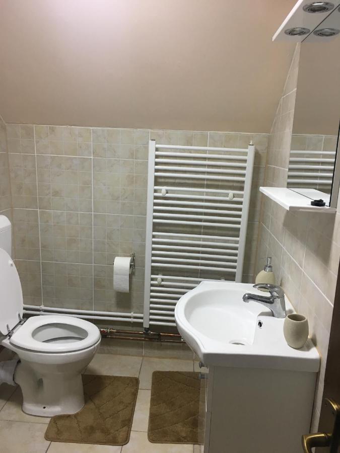 Casa De Oaspeti Boga Vasaskőfalva Kültér fotó