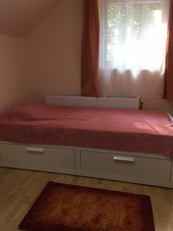Casa De Oaspeti Boga Vasaskőfalva Kültér fotó